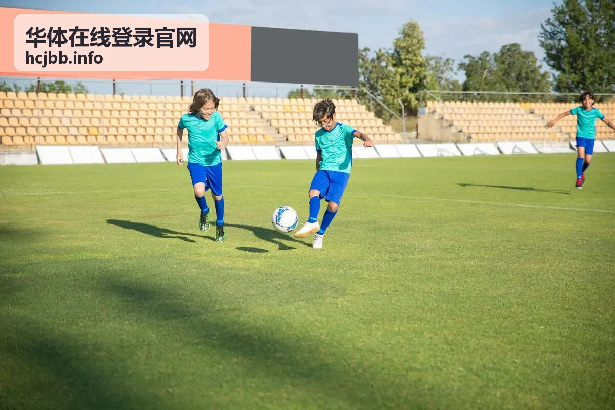 华体在线登录官网登录指引分类封面