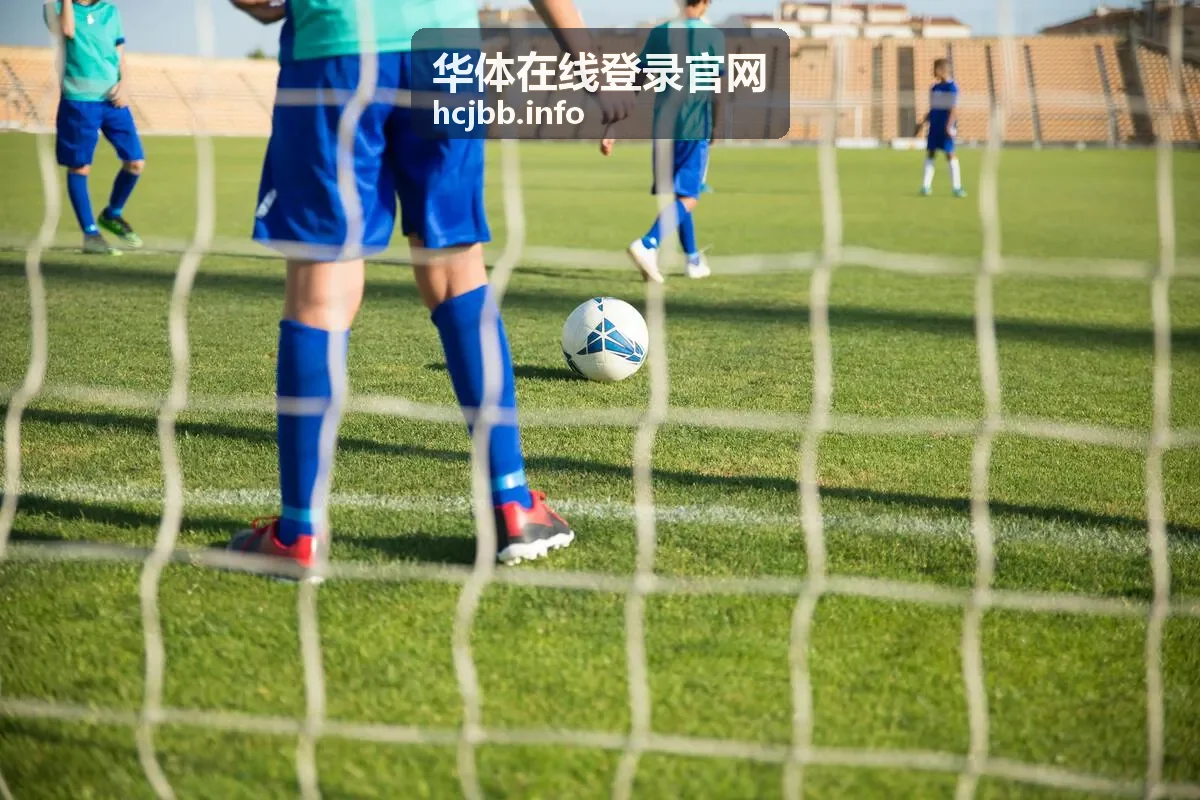 华体在线登录官网账户与安全设置页面示意