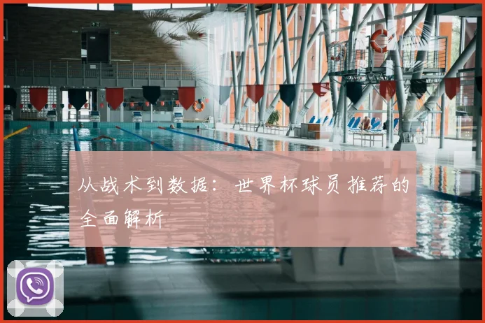 从战术到数据:世界杯球员推荐的全面解析