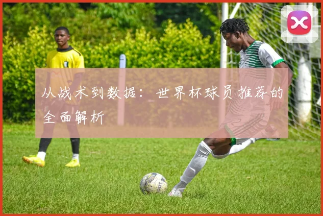 从战术到数据:世界杯球员推荐的全面解析