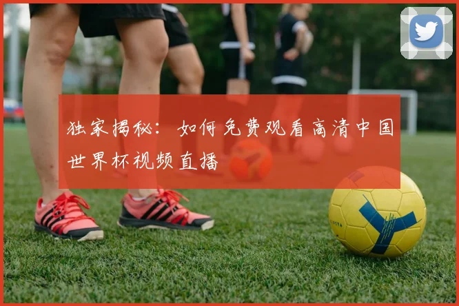 独家揭秘：如何免费观看高清中国世界杯视频直播