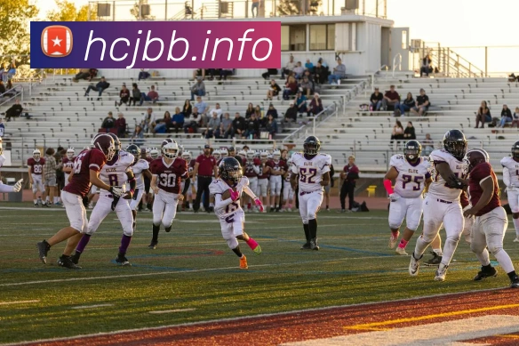 平台展示图